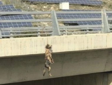 Κτηνωδία στην Κρήτη: Κρέμασαν σκύλο σε γέφυρα (φώτο)